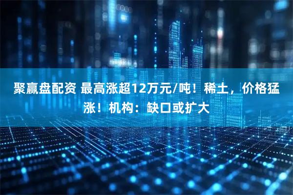 聚赢盘配资 最高涨超12万元/吨！稀土，价格猛涨！机构：缺口或扩大